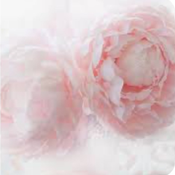 Meet your Posher, Raebranda - Picture 2 of 2